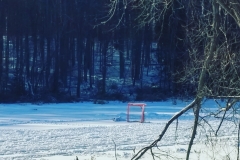 Lainger-Hockey-Night-In-Canada